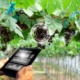 farmer-using-tablet-management-analysis-inspection-condition-vineyards-with-ai