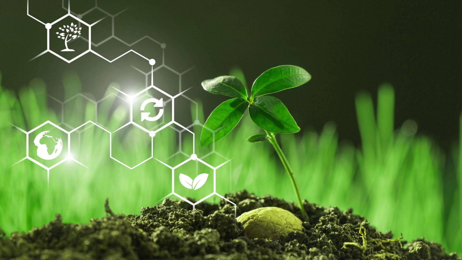iot-internet-things-agriculture-concept