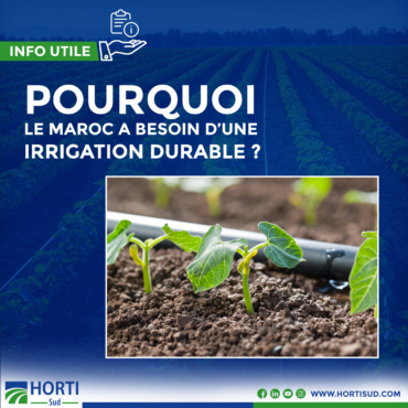 Pourquoi le Maroc a besoin d'une irrigation durable